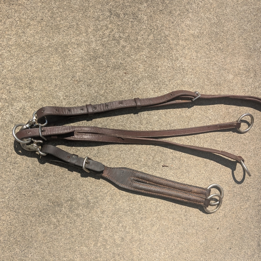 Brown Leather two Running Martingale horse and pony, horse adjusts Standing